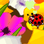 coccinelle[1].gif